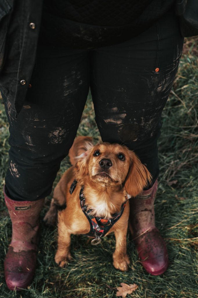 Spaniel dog in between feet of owner
